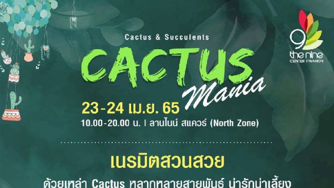 เดอะไนน์ เซ็นเตอร์ ติวานนท์ รวมพลคนรักแคคตัส ในงาน “Cactus Mania” เปิดตัว ยิมโน​ “สีนิล” พร้อมกิจกรรมเวิร์คช้อป