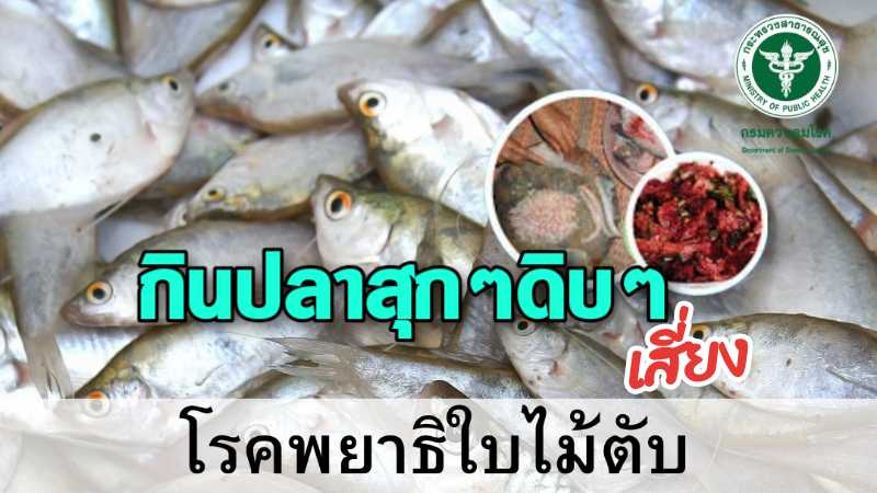 กรมควบคุมโรค เตือน!กินปลาน้ำจืดเกล็ดขาว สุกๆ ดิบๆ เสี่ยงโรคพยาธิใบไม้ตับ สาเหตุหลักคนไทยป่วยโรคมะเร็งท่อน้ำดี